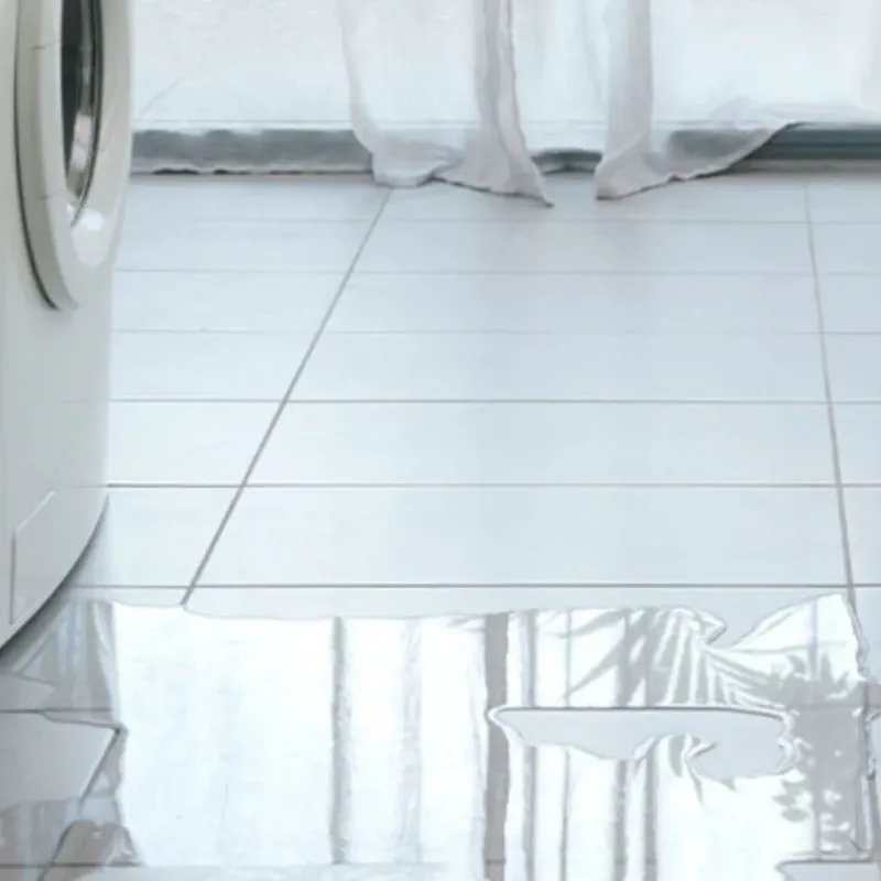 Appliance Leak Cleanup in York, AL