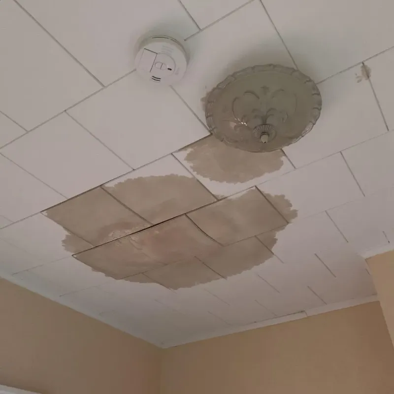 Ceiling Water Damage Repair in York, AL