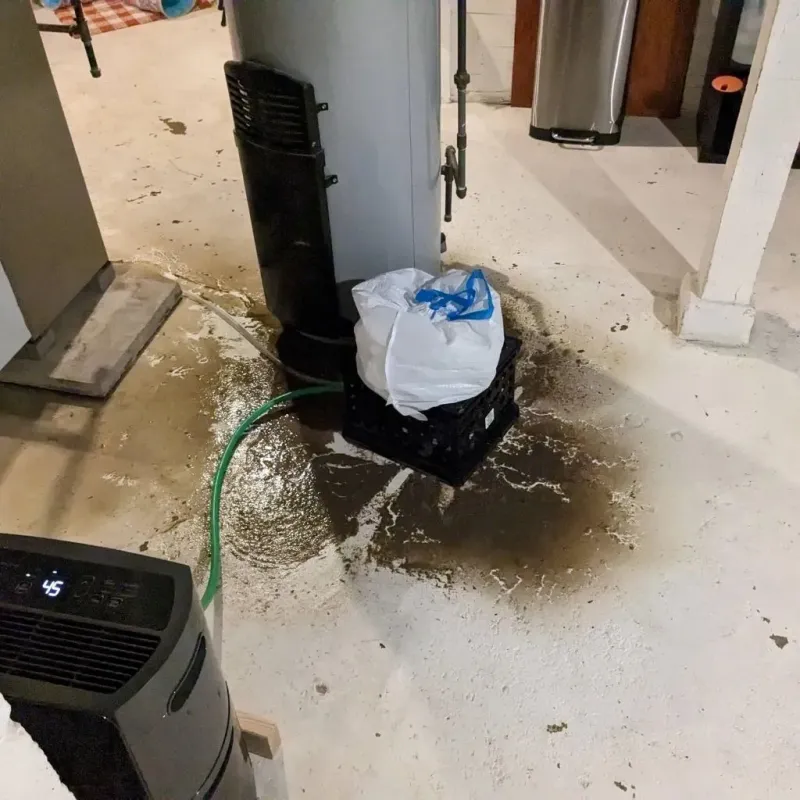 Sewage Backup Cleanup Service in York, AL